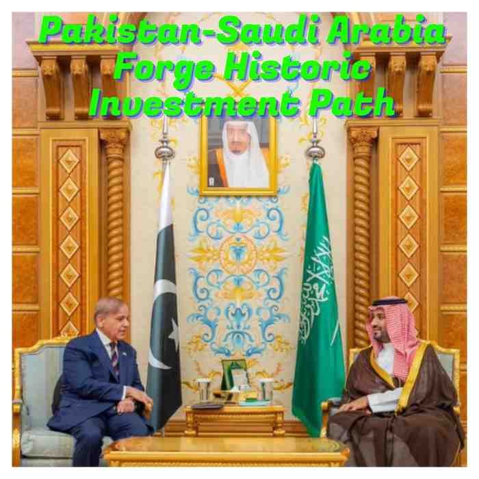Pakistan-Saudi Arabia Forge Historic Investment Path