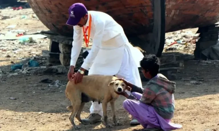 Rabies Death Despite Vaccine Despite Dog Bite Tragedy