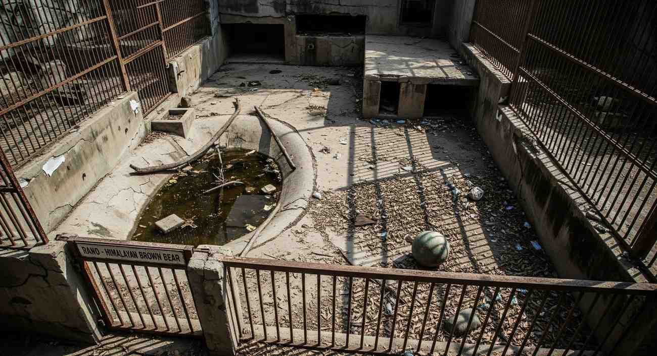 Shocking Wildlife Neglect What Rano Left Behind At Karachi Zoo
