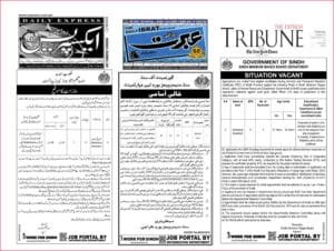 Statistical Assistant BPS-11 Sindh: Secure Your Future